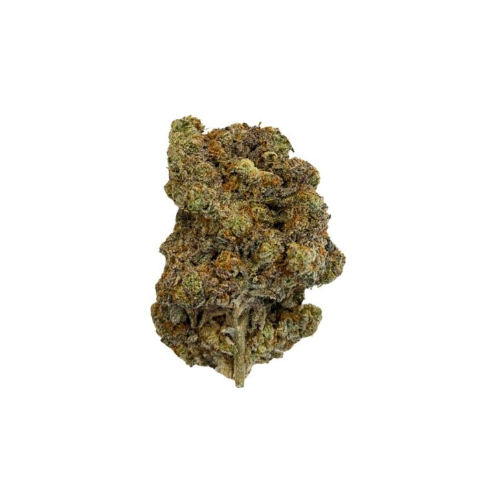 cuties (3) cuties (3)